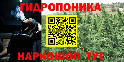дурь Малгобек
