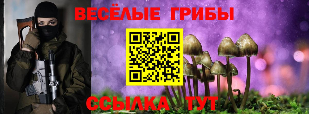 Галлюциногенные грибы мицелий Бузулук